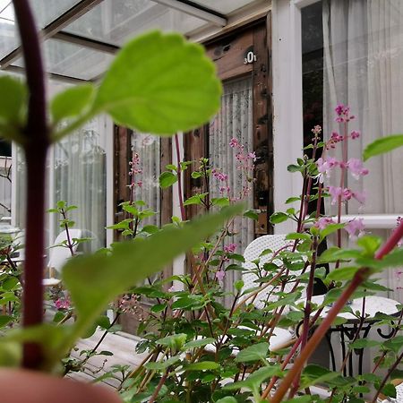 Shenzhen No'6 Garden Villa --French Window With Garden View,Close To Sea World &Shekou Ferry Port &K11 Ecoast &Subway Nearby ,Offer Western Food And Coffee &English Speaking With Tour Services Bagian luar foto