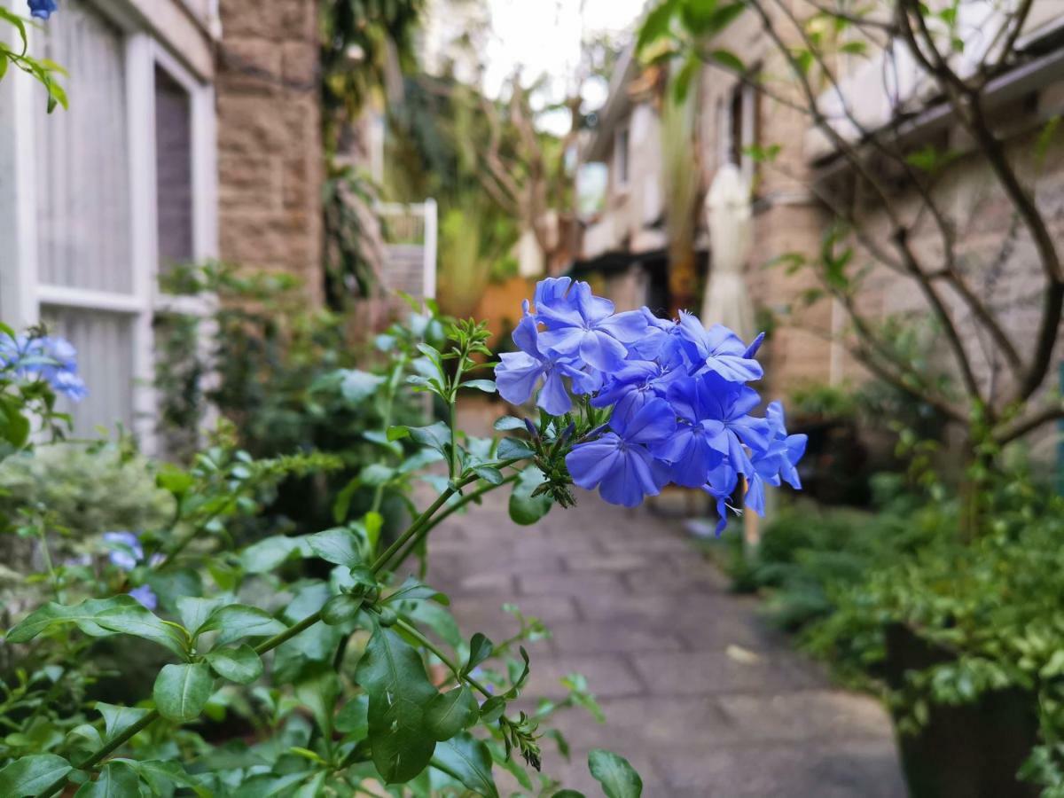 Shenzhen No'6 Garden Villa --French Window With Garden View,Close To Sea World &Shekou Ferry Port &K11 Ecoast &Subway Nearby ,Offer Western Food And Coffee &English Speaking With Tour Services Bagian luar foto
